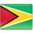 Guyana Flag